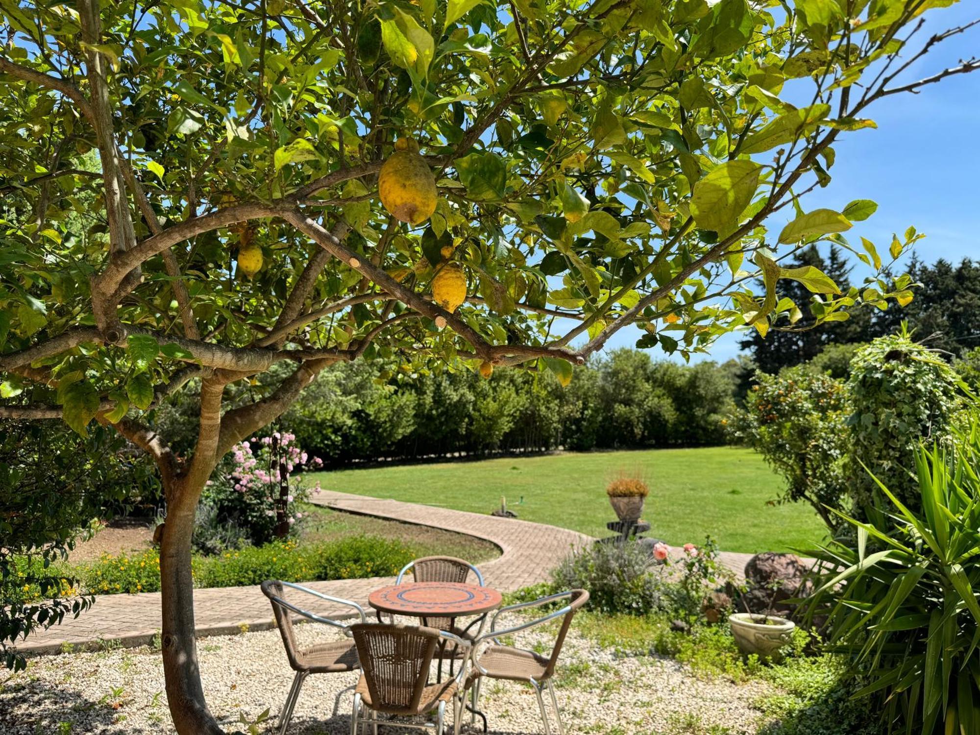 L'Orto San Vero Milis Exterior foto